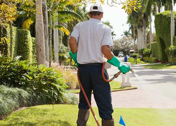About Morrison CO Pest Control